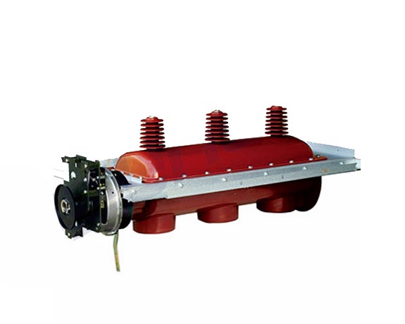 FLN36-24kv六氟化硫負荷開關(guān)